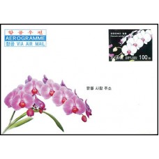 2003. Орхидеи