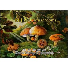 2008. грибы