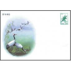 2000. White cranes