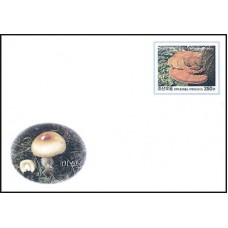 2003. грибы