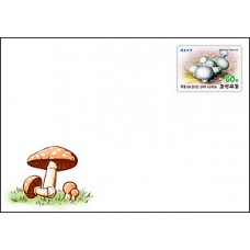 2015. грибы