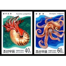 2000.  Морские животные (головоногие)(Неперфорированные марки)