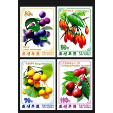 2014. Лекарственные растения (беззубцовые марки)