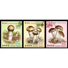 2017. Сосновый гриб (беззубцовые марки)