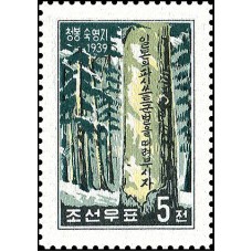 1959. Девизное дерево в бивуаке Чонгбонг