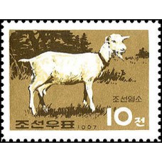 1967. Корейская коза