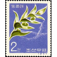 1967. Polygonatum japonicum