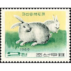 1969. Джасан серый кролик