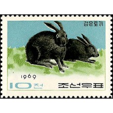 1969. Черный кролик