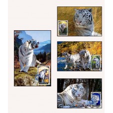 2005. Белый тигр