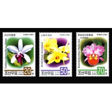 2000. Орхидеи