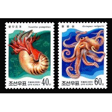 2000. Морские животные (головоногие)