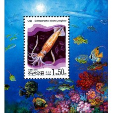 2000. Морские животные (головоногие