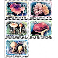 2002. грибы