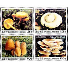 2003. грибы