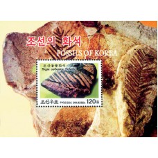 2004. Fossils of Korea