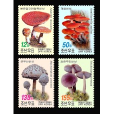 2008.  грибы