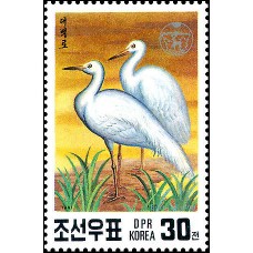 1991. Egretta alba