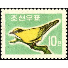 1961. птицы