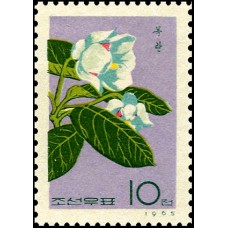 1966. Цветы 