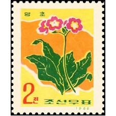 1966. Цветы