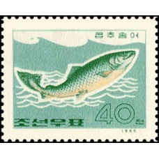 1966.  Морская рыба