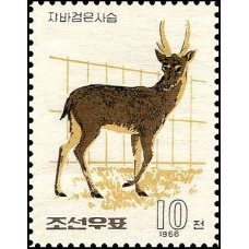 1966. олень