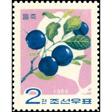 1966. Дикие фрукты