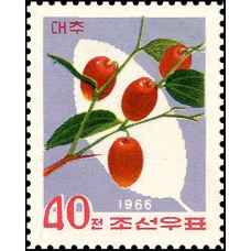 1966. Дикие фрукты