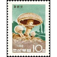 1968. грибы 