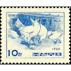 1969. Птицеводство