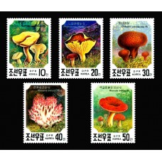 1991. грибы 