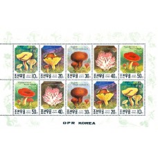 1991.  грибы 