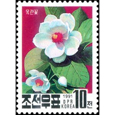 1991. Магнолия, национальный цветок КНДР