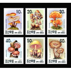 1993. грибы
