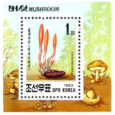1993. грибы 
