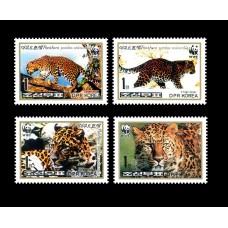 1998.  Panthera Pardus Orientalis  