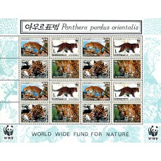 1998. Panthera Pardus Orientalis